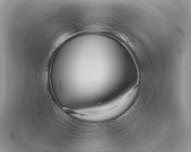 X0000115811459200912041556