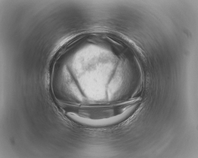 X0000115811461200912041556