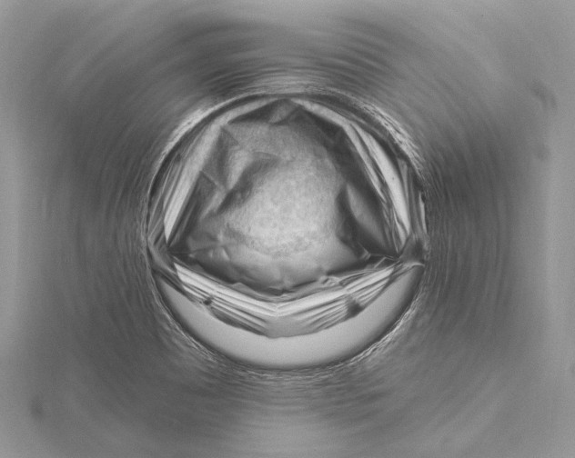 X0000115811465200912041556