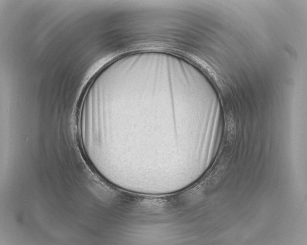 X0000115811466200912041556