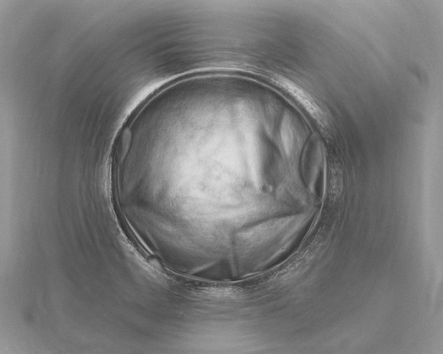 X0000115811468200912041556