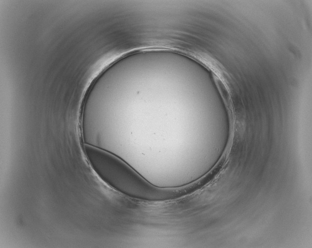 X0000115811485200912041556