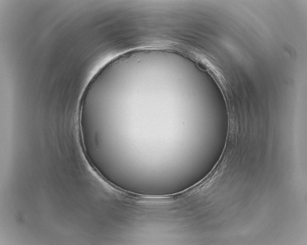 X0000115811487200912041556