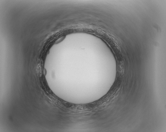 X0000115811493200912041555