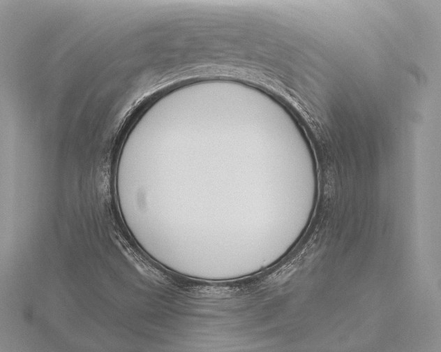 X0000115811499200912041556