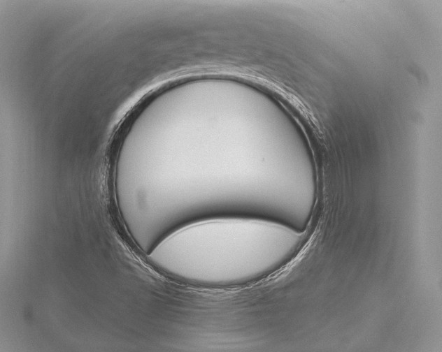 X0000115811502200912041556