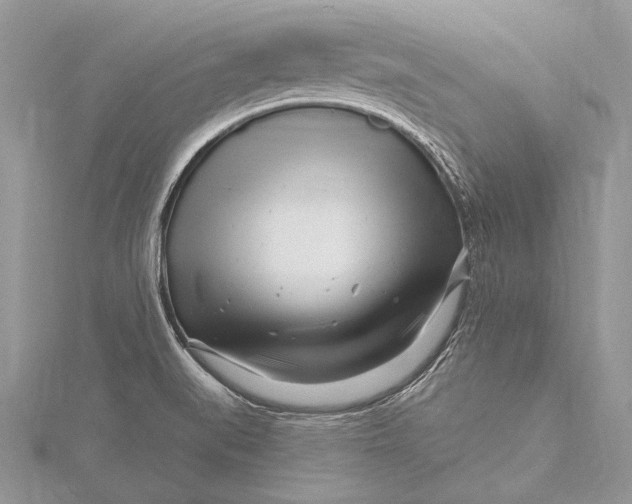 X0000115811519200912041556