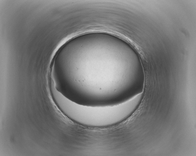 X0000115811522200912041556