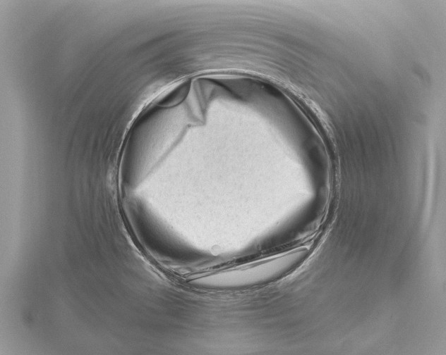 X0000115811529200912041556