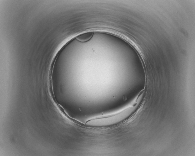 X0000115811533200912041556