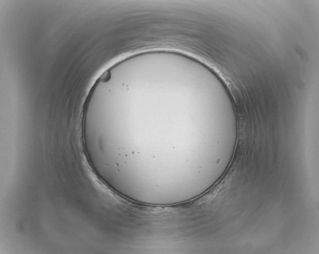 X0000115811534200912041556