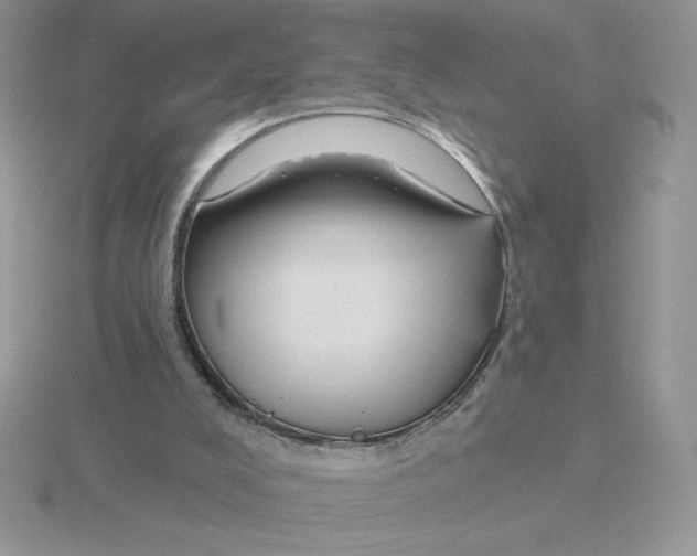 X0000115810008200912111240