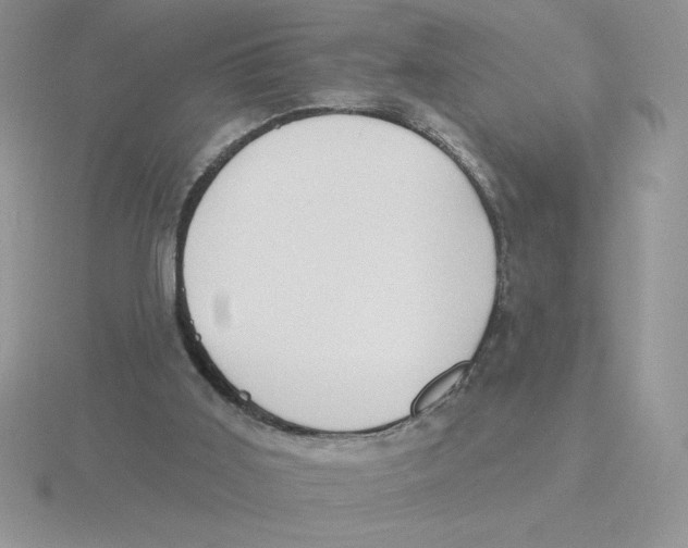 X0000115810011200912111240