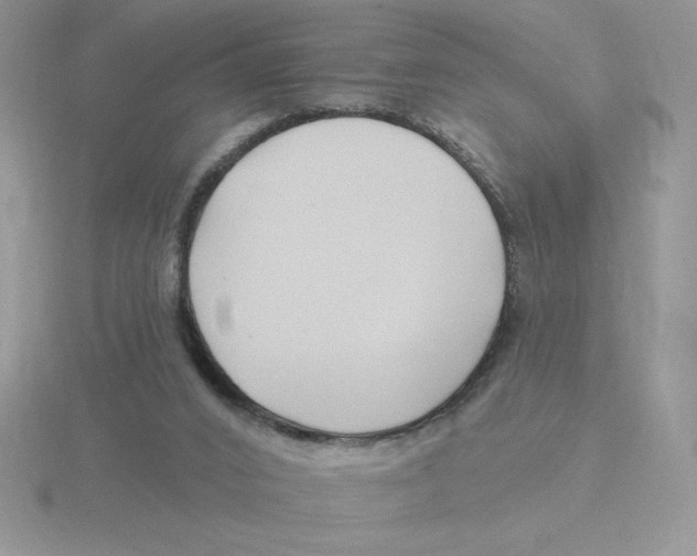 X0000115810016200912111240