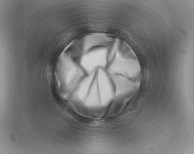 X0000115810080200912111239