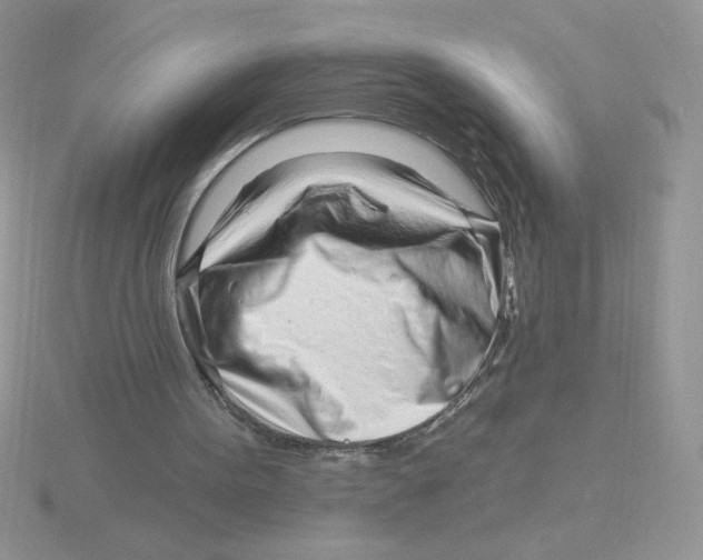 X0000115810099200912111238
