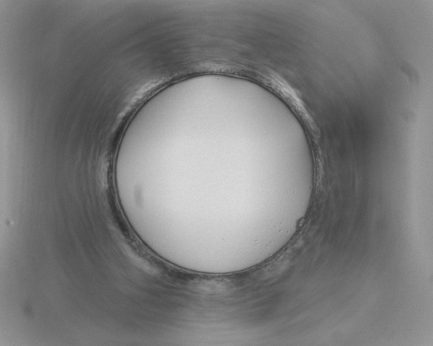 X0000115810106200912111238