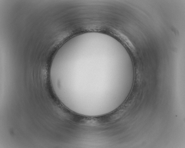 X0000115810113200912111238