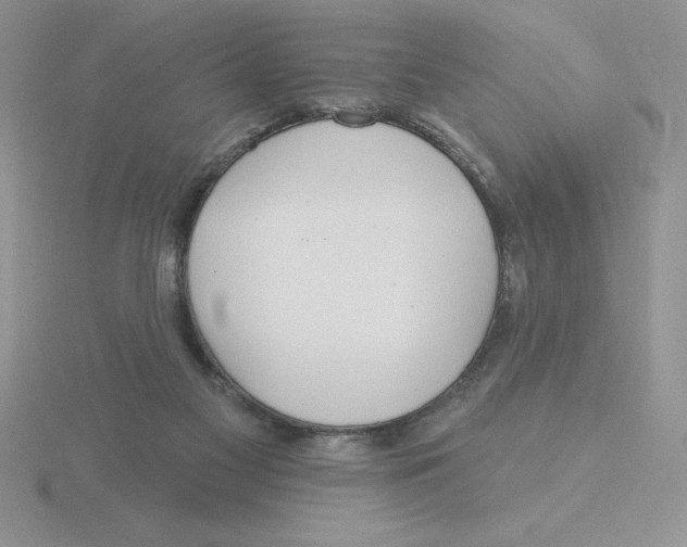 X0000115810117200912111238