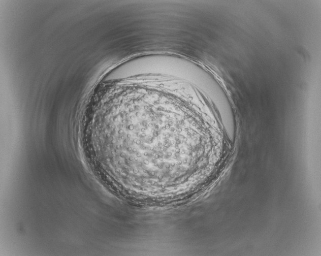 X0000115810145200912111237