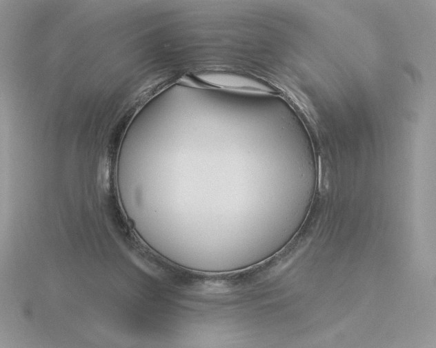 X0000115810157200912111237