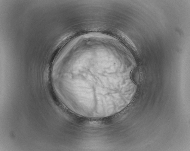 X0000115810163200912111237