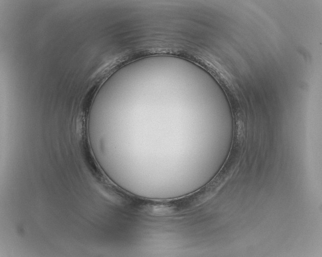 X0000115810165200912111238