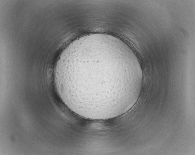 X0000115810171200912111238