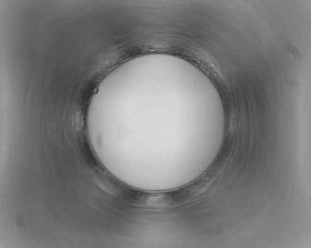 X0000115810173200912111238