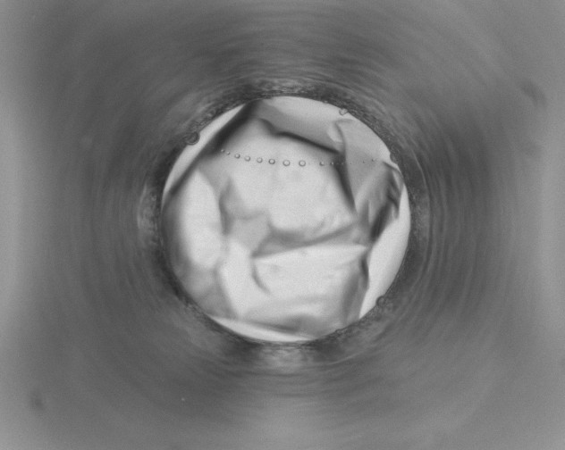 X0000115810181200912111238
