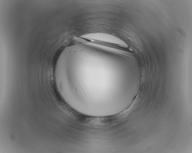 X0000115810182200912111238