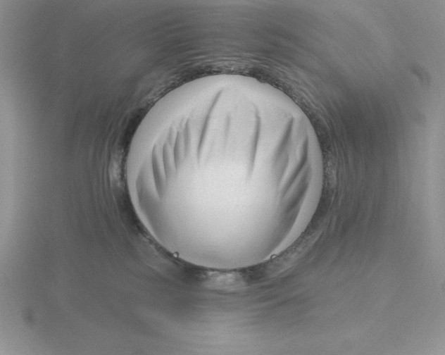 X0000115810185200912111238