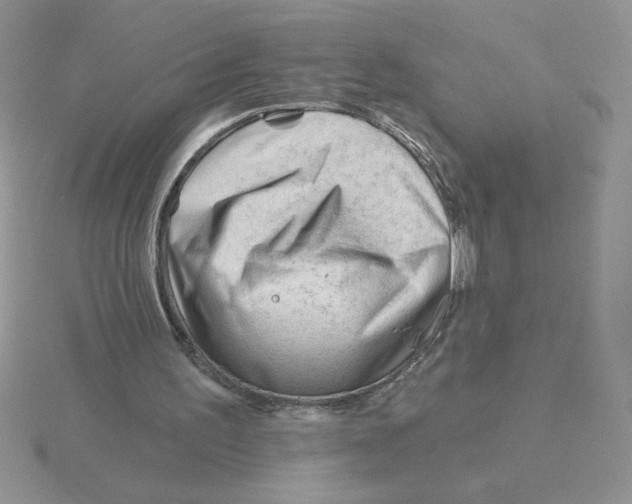 X0000115810195200912111237
