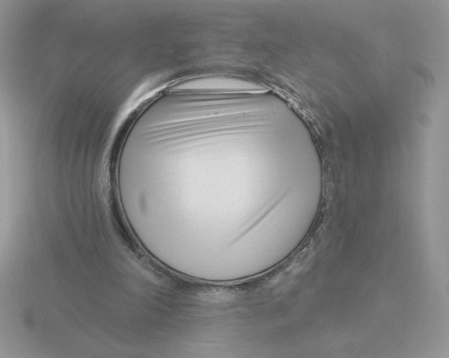 X0000115810198200912111237