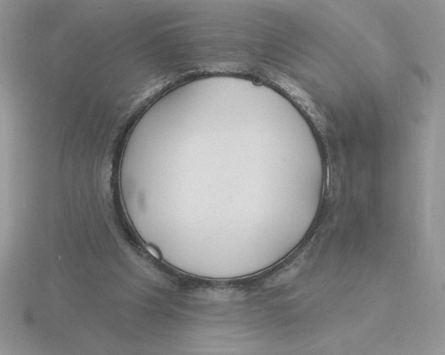 X0000115810201200912111237
