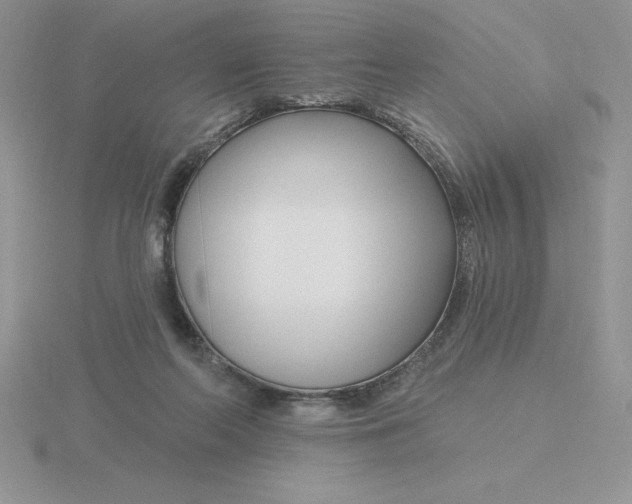 X0000115810214200912111237