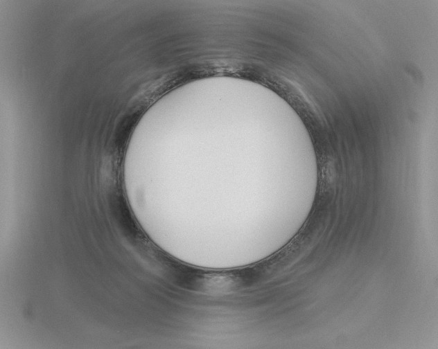X0000115810218200912111237