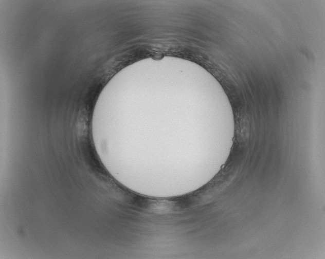 X0000115810226200912111237