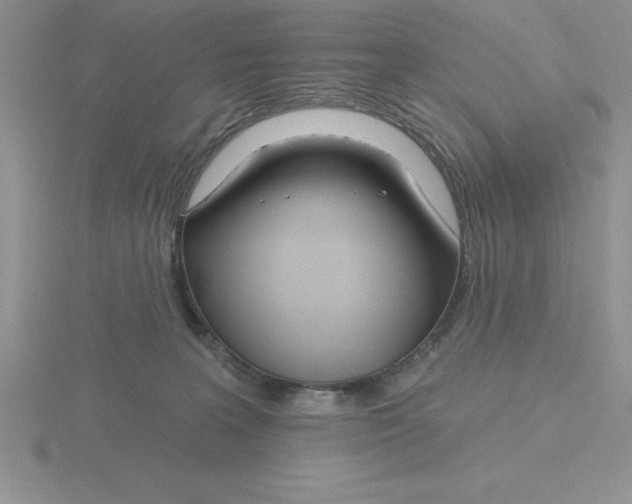 X0000115810227200912111237