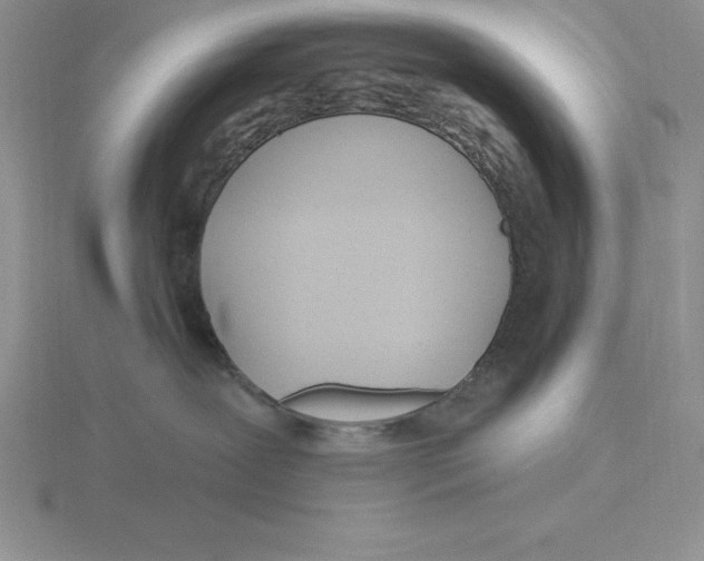 X0000115810239200912111236