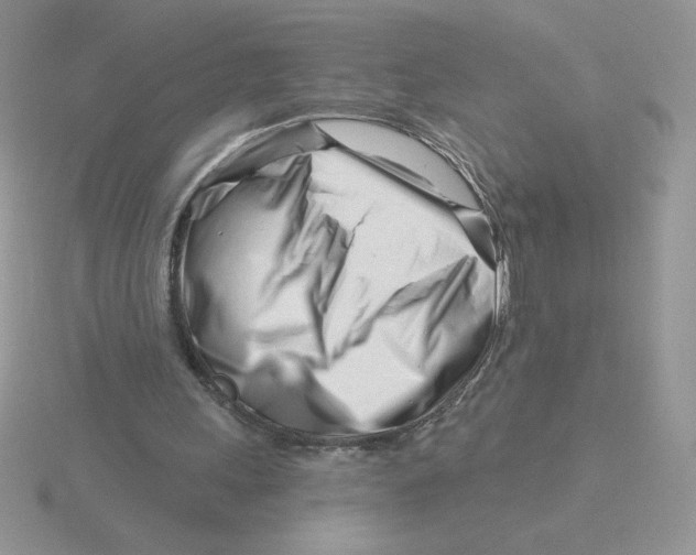X0000115810243200912111236
