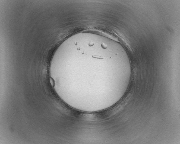 X0000115810265200912111236