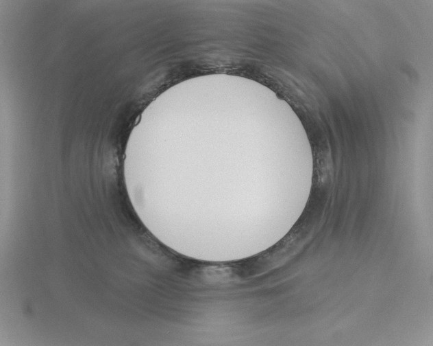 X0000115810279200912111236