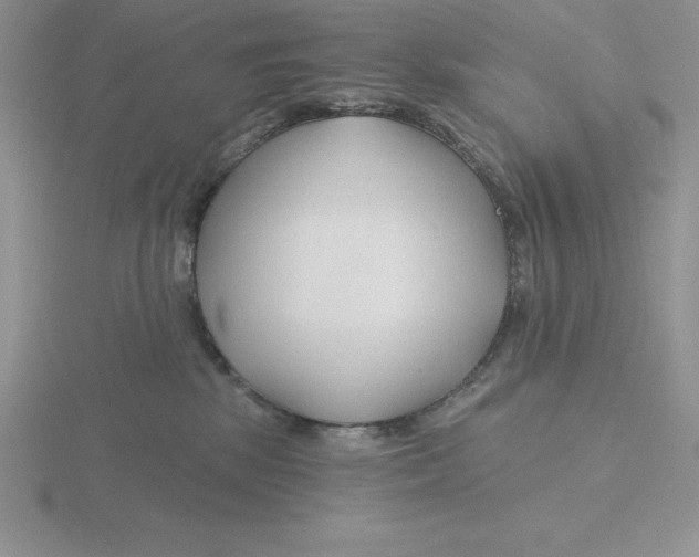 X0000115810281200912111236