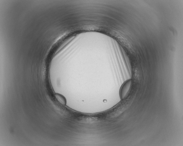 X0000115810304200912111236