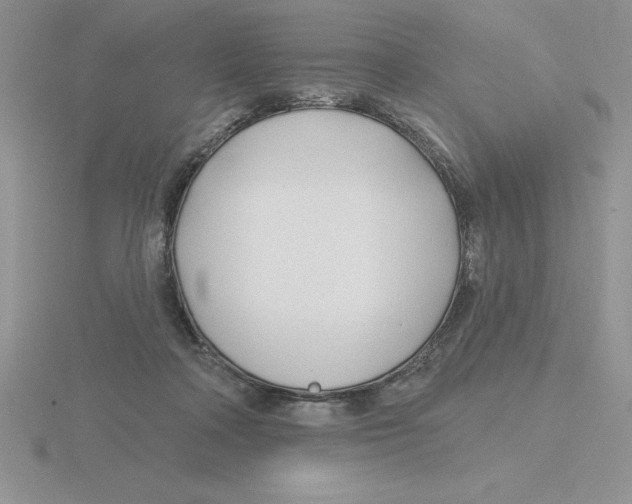 X0000115810314200912111236
