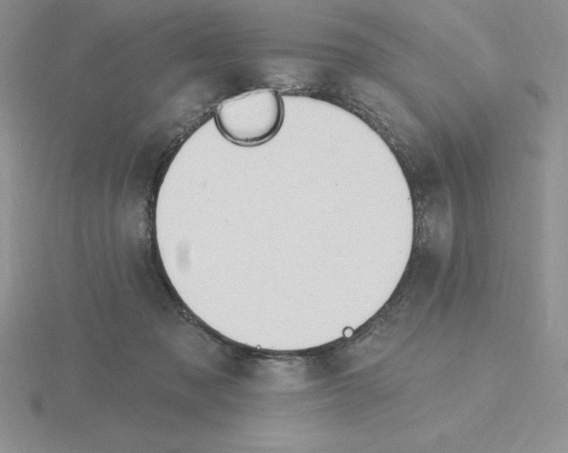 X0000115810317200912111236