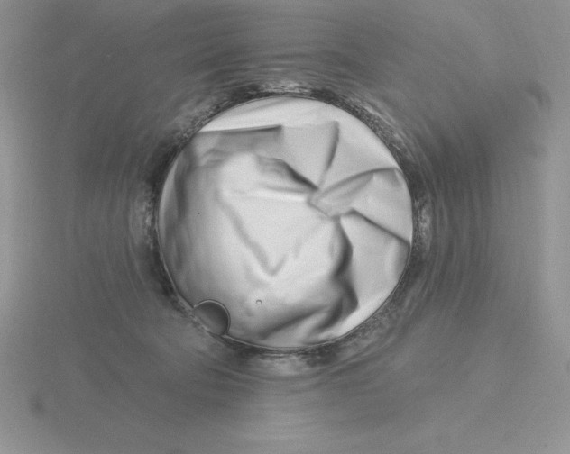 X0000115810322200912111235