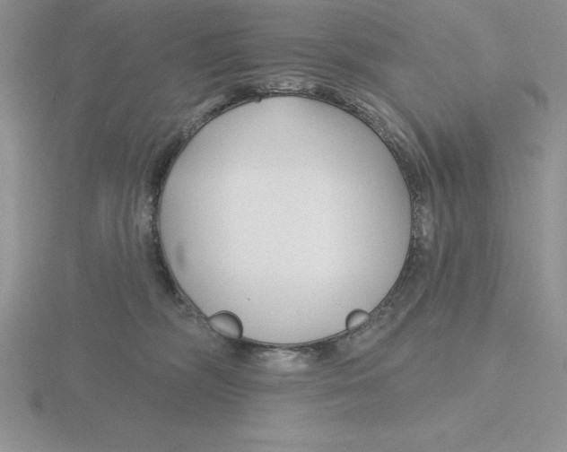 X0000115810326200912111235
