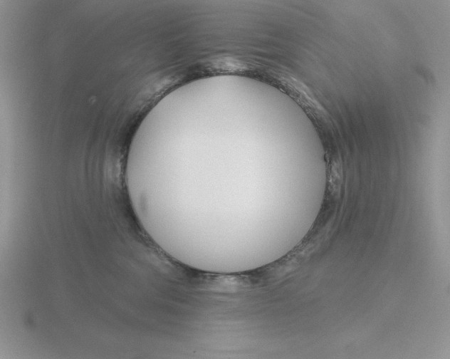 X0000115810330200912111235